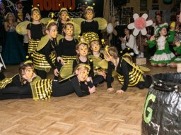 efg_Fasching EFG-2018.01.20 Uhr20.36.50